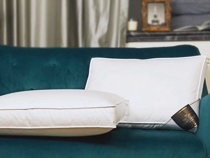 Подушка Trois Couronnes Lotus Lux Cosy 386