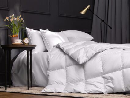 Одеяло German Grass EXCLUSIVE COTTON EIDER DOWN теплое 330