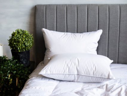 Подушка German Grass Gray Familie Down упругая 50х70