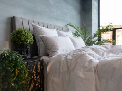 Подушка German Grass Gray Familie Down мягкая 50х70