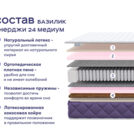 Кровать Димакс Левита с п/м + матрас Базилик Энерджи 24 медиум 160х200